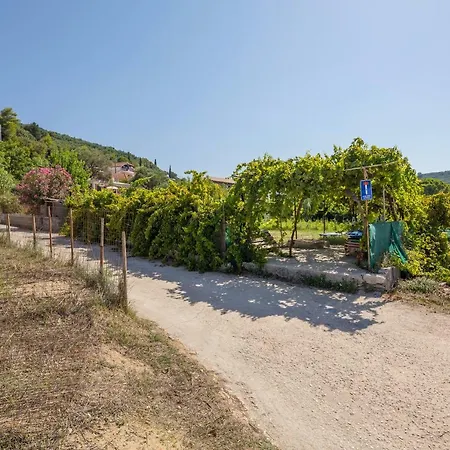 דירה Photographer's אליקאנאס