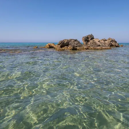 דירה Photographer's *