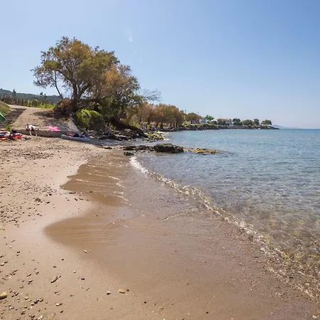 דירה Photographer's *