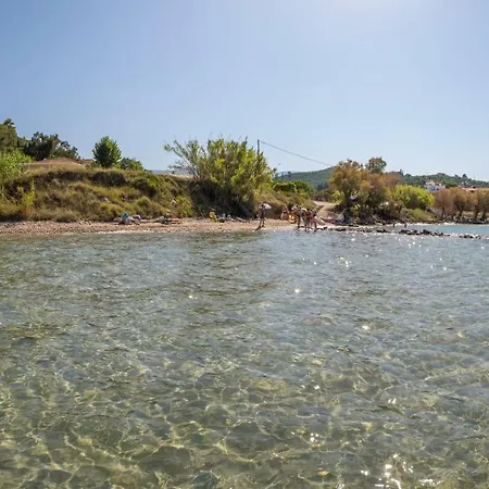Photographer's * Alykanas (Zakynthos)