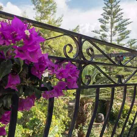 Photographer's דירה