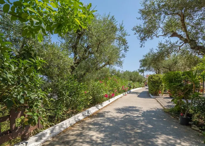 شقة Photographer's *