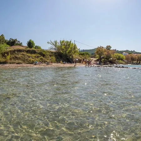 Photographer's * Alykanas (Zakynthos)
